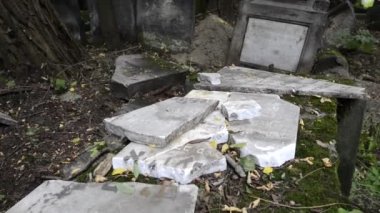 Varşova 'daki Okopowa Caddesi' ndeki Yahudi mezarlığında eski mezarlar.