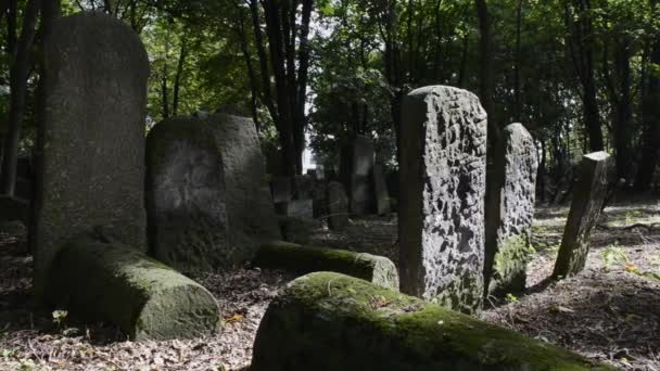 Historischer jüdischer Friedhof in der Okopowa-Straße in Warschau, — Stockvideo