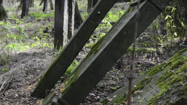 Vieille tombe en pierre au cimetière juif historique de Varsovie — Video