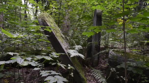 El antiguo cementerio judío de Varsovia — Vídeos de Stock