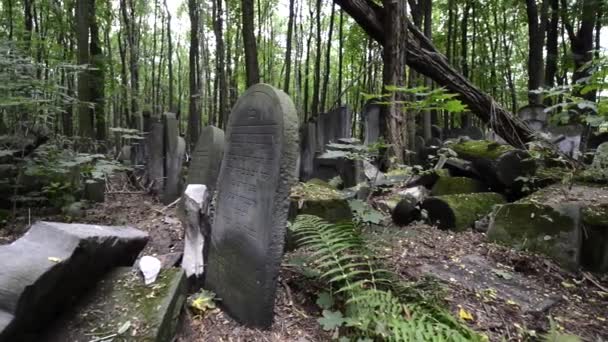 Histórico cemitério judaico em Varsóvia, Polônia — Vídeo de Stock