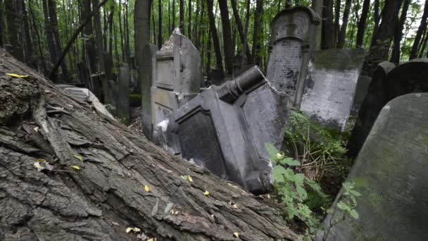 Stary kamień grób na zabytkowym cmentarzu żydowskim w Warszawie, Polska — Wideo stockowe