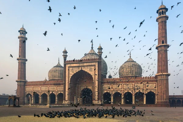 Jama masjid mešita ve starém Dillí, Indie — Stock fotografie