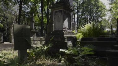 Varşova powazki tarihi Varşova mezarlığında mezar