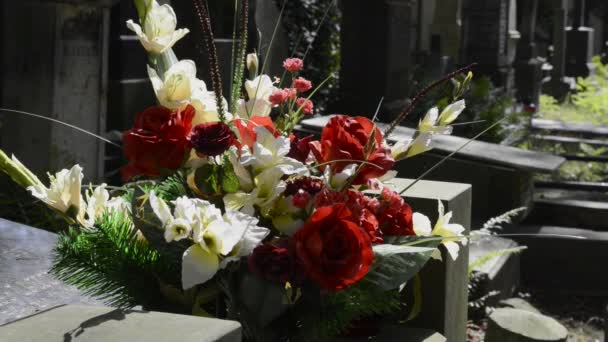 Frische Blumen auf dem Grab auf dem historischen Warschauer Friedhof, powazki — Stockvideo