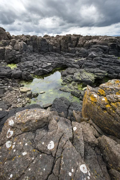 Devler causeway Kuzey İrlanda — Stok fotoğraf