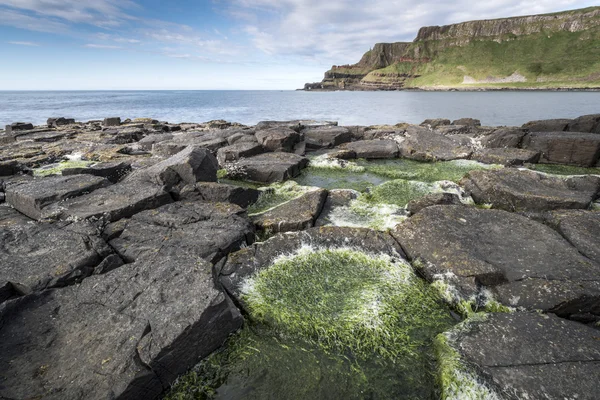 Parque nacional Giants Causeway paisaje, Irlanda del Norte —  Fotos de Stock