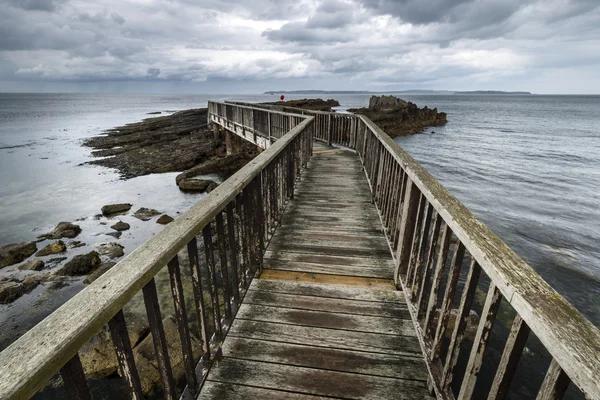 Wooden path on North Irish coastline — Stock Photo, Image