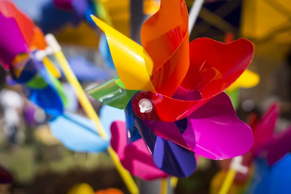 Roda de pino colorido — Fotografia de Stock