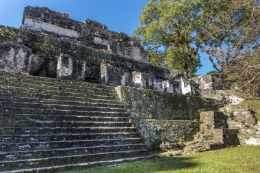 Maya tapınak kalıntıları içinde tikal, guatemala