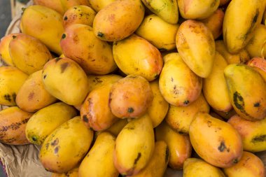 Yerel Pazar taze mango