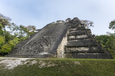 Guatemala tikal Harabeleri Maya