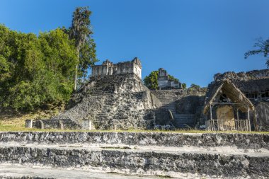 Antik Maya piramit tikal Guatemala