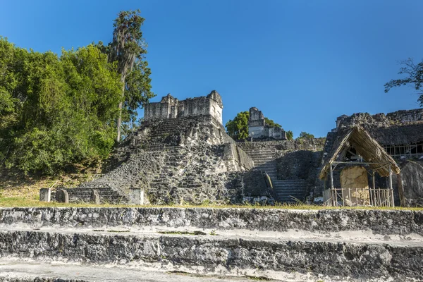 Ősi maja piramis Tikal Guatemalában — Stock Fotó