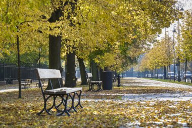 aleje sokak ujazdowskie Varşova Łazienki Parkı