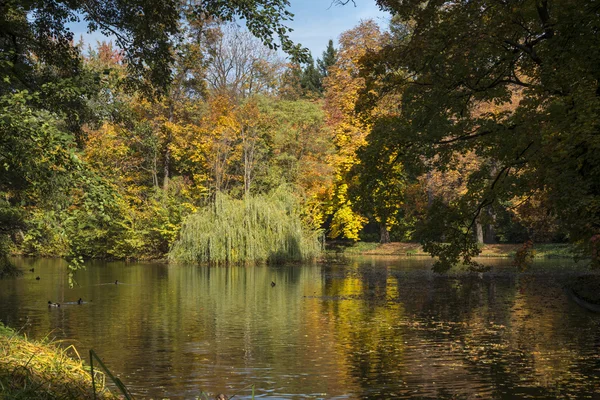 Schöner herbstlicher Park lazienki krolewskie in Warschau, Polen — Stockfoto