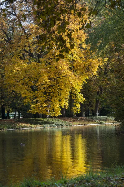 Fogliame colorato autunno sul lago in Lazienki Krolewskie Park a Varsavia, Polonia — Foto Stock