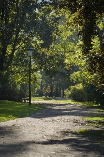 Solig, höst dag i tye parken saski i Warszawa, — Stockfoto