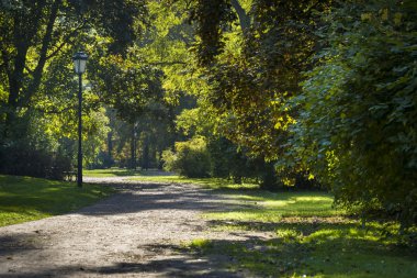 güneşli yolu park saski, Varşova, Polonya