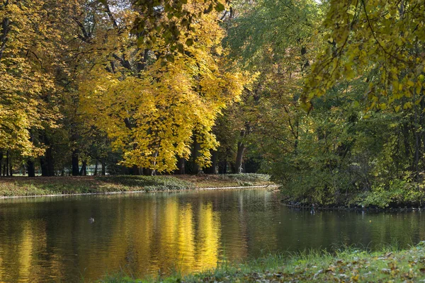 Sonbahar renkli yeşillik Łazienki krolewskie Park Varşova göl üzerinde — Stok fotoğraf