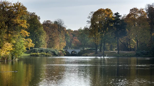 Pequeno lago em Lazienki Krolewskie Park, Varsóvia — Fotografia de Stock