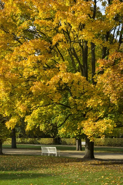 Fogliame colorato in autunno Parco Lazienki Krolewskie a Warsa — Foto Stock