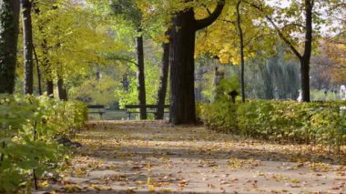 Varşova, Polonya, güneşli havalarda Łazienki krolewskie park sonbahar manzarası