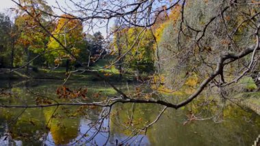 Varşova, Polonya, güneşli havalarda Łazienki krolewskie park sonbahar manzarası