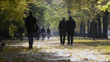 turistler Łazienki Parkı önünde sonbahar güneşli gün boyunca yürüyüş