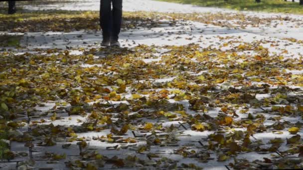 Hombre caminando sobre hojas secas de otoño — Vídeos de Stock