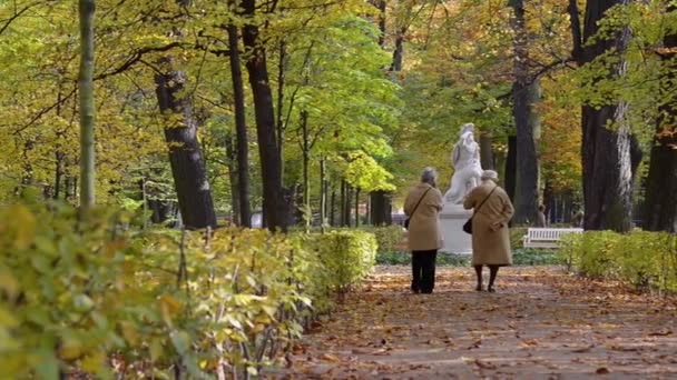 Vue d'automne du parc Lazienki Krolewskie à Varsovie, Pologne par beau temps — Video