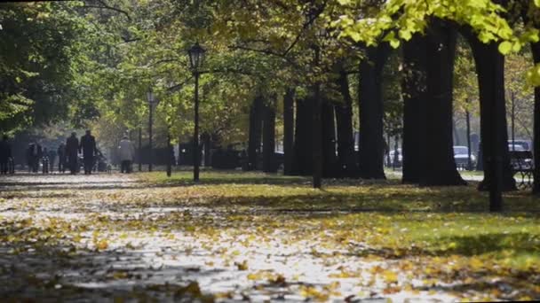 Touristes indéfinis marchant devant le parc Lazienki pendant la journée ensoleillée d'automne — Video