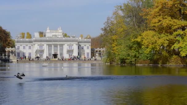 Nedefinovaný turistů chodit před palácem na vodě v parku lazienki — Stock video