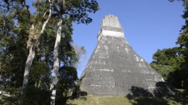 Antik tikal maya sitesi tropikal ormanda, guatemala