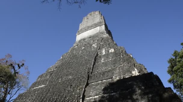 Antiguas ruinas mayas en Tikal, Guatemala, América Latina — Vídeos de Stock