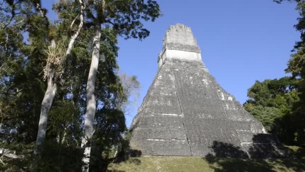 Oude maya-site van tikal in tropische jungle, guatemala — Stockvideo
