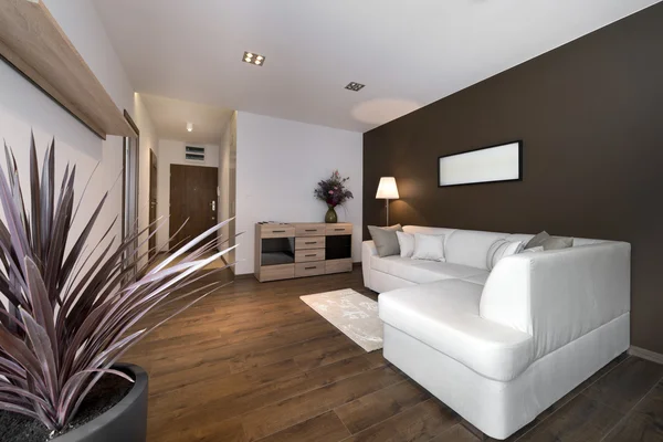 Modern kahverengi iç tasarım oturma odası — Stok fotoğraf