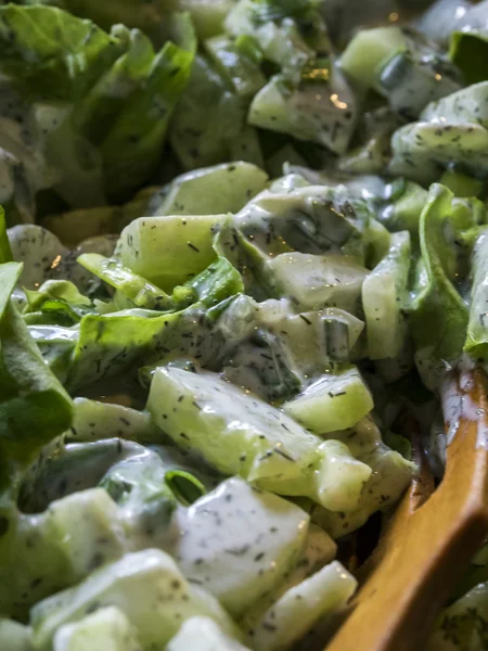 Sağlıklı yeşil salata taze salatalık ile — Stok fotoğraf