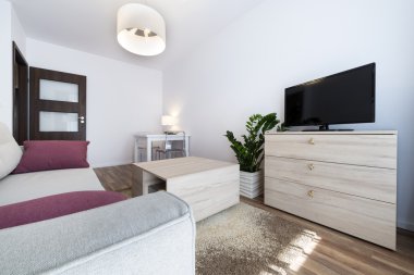 İskandinav tarzı küçük, modern iç tasarım