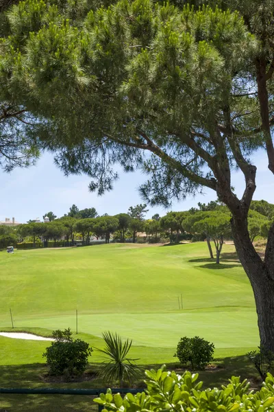 Green golf course in Vilamoura — Stock Photo, Image