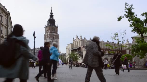 Chariots tirés par des chevaux avec des guides devant le Sukiennice à Cracovie, Pologne — Video