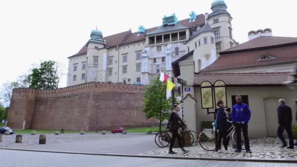 Carruagens puxadas a cavalo com guias em frente ao castelo Wawel em Cracóvia — Vídeo de Stock