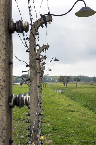 Ogrodzenia z drutu kolczastego w obozie koncentracyjnym auschwitz ii-birkenau w Polsce. — Zdjęcie stockowe