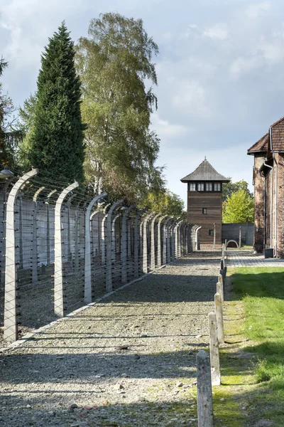 Passerelle extérieure doublée de fils barbelés électrifiés dans le camp II d'Auschwitz — Photo