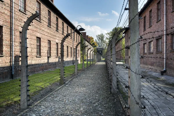 Recinzione di filo spinato nel campo di concentramento di Auschwitz II in Polonia — Foto Stock