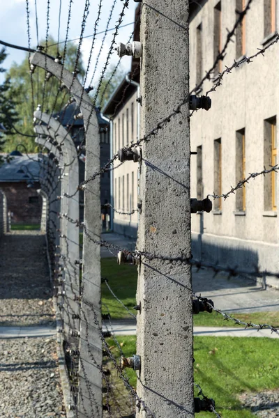 Zelektryfikowanych ogrodzenia z drutu kolczastego obozu Auschwitz Ii-Birkenau w Brzezince, Polska. — Zdjęcie stockowe