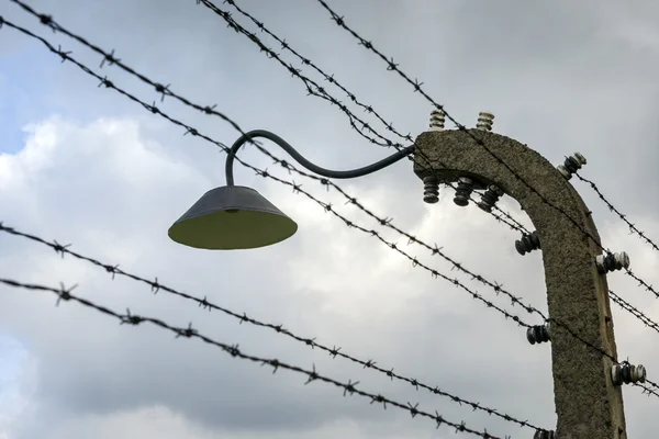 Clôture en fil barbelé dans le camp de concentration d'Auschwitz II-Birkenau Images De Stock Libres De Droits