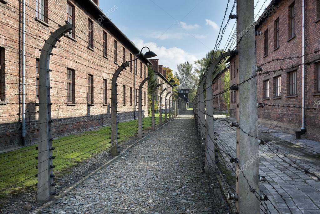 barbed wire fence concentration camp. barbed wire fence in auschwitz ii concentration camp poland \u2014 stock photo k