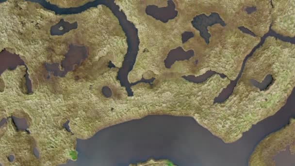 Vista Superior Dos Pântanos Salgados Northton Ilha Harris Outer Hebrides — Vídeo de Stock