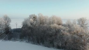 Kış boyunca Polonya 'daki Warmia manzarasının insansız hava aracı görüntüsü